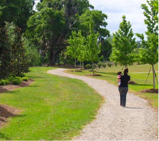 Winding trail through the Calesa Township trail system